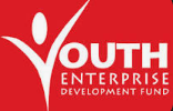 Image logo of a former WS Law client called Youth Enterprise Development Fund
